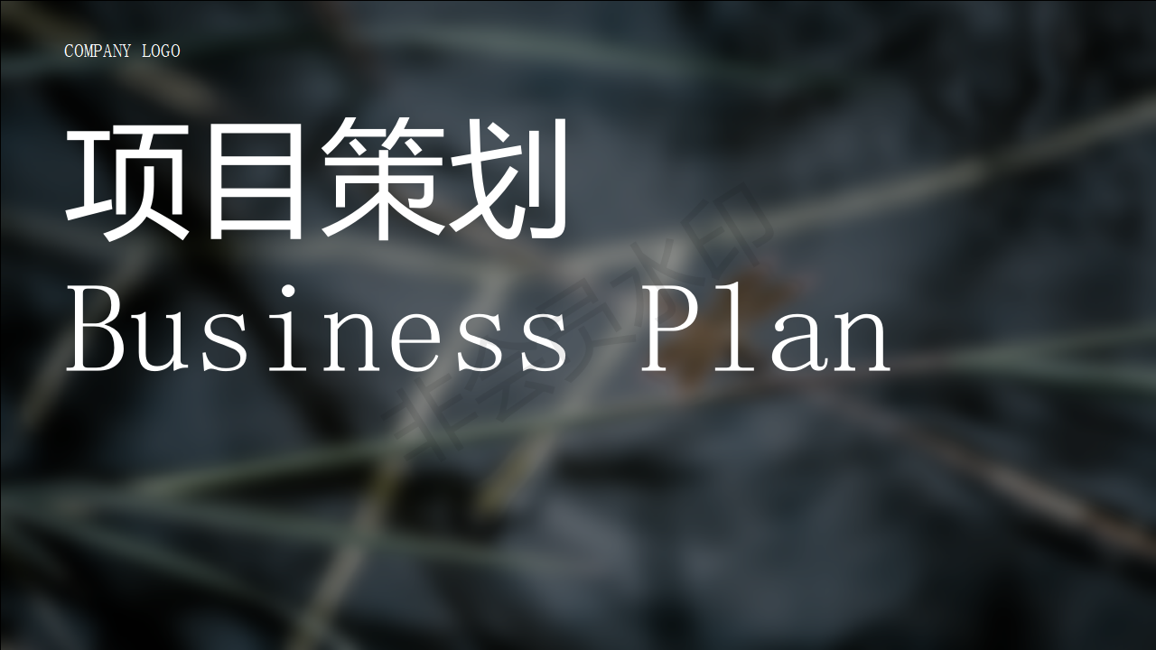 项目策划-高端商务-黑白-PPT模板
